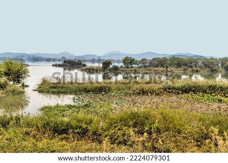 Landscape of wetlands park in Iksan South Korea under gray overcast sky. Royalty-Free Stock Photo #2224079301