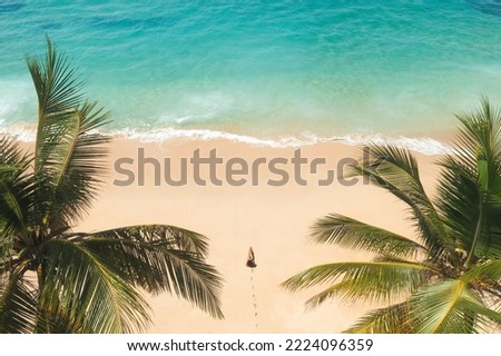Aerial drone view beautiful tropical beach with white sand palm trees and clear water and woman model in black bikini. Perfect shore with sand and coco palms. Travel and resort leisure panorama Royalty-Free Stock Photo #2224096359