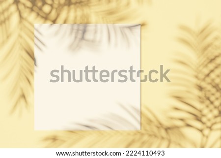 Square Card mockup on beige background with shadows shape palm leaves. Top view white blank greeting card with palm leaf shadow overlay. Summer modern sunlight stationery mockup scene.