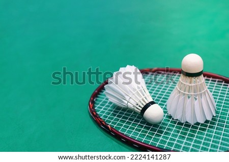 new shuttlecock on green badminton playing court