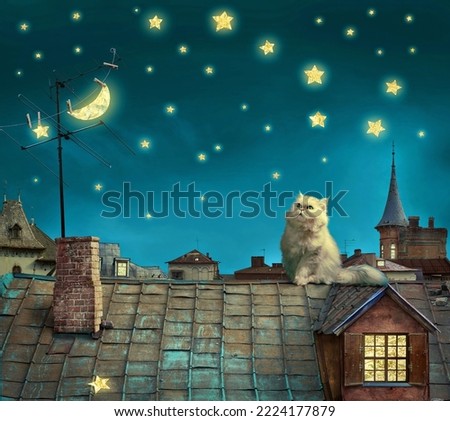 cartoon picture a cat in up a house roof when night
