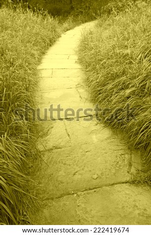 closeup of pictures, path and lawn in a park, China