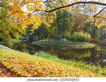 Autumn day in the park. Gold autumn. Trees and lake.
