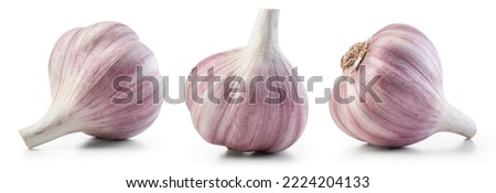 Garlic bulb isolated. Garlic on white background. Purple garlic bulb collection. Set with clipping path. Royalty-Free Stock Photo #2224204133