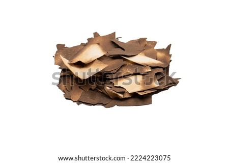 Burnt paper isolated on a white background. Copy space.
