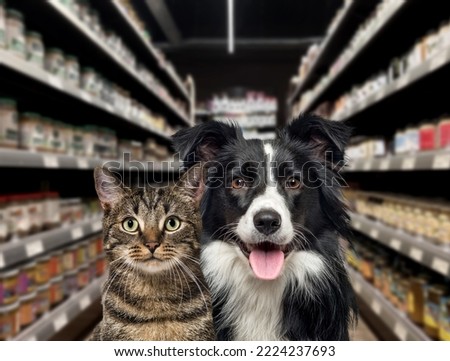 Cat and dog looking at the camera, in front of food shelves in a pet store. The background is blurred and dark.