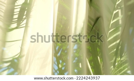 transparent curtain on the window, gently moved by the wind. sunlight. sun's rays shine through the transparent tulle Royalty-Free Stock Photo #2224243937