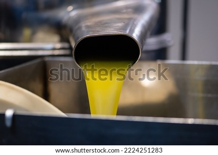 Fresh extra virgin olive oil pouring into tank at a cold-press factory after the olive season harvesting Royalty-Free Stock Photo #2224251283