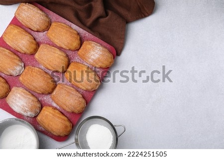Delicious madeleine cookies in baking mold and sieve with powdered sugar on white table, flat lay. Space for text