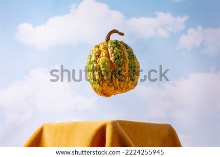 Closeup of yellow pumpkin vegetable creative concept on sky background. . Autumn decoration. Farm organic autumn vegetables. Closeup view.