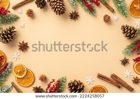 Winter aesthetic concept. Top view photo of fir branches in frost mistletoe berries dried orange slices pine cones cinnamon sticks snowflakes on isolated beige background with copyspace in the middle