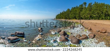 Blooming of water, blue-green algae near the shore of the Gulf of Finland, Repino, St. Petersburg. Royalty-Free Stock Photo #2224268245