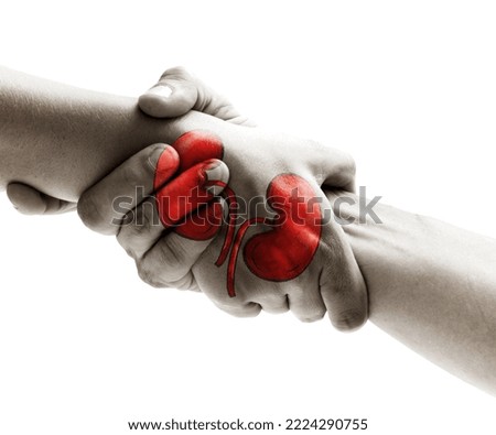 World Organ Donation Day concept with a kidney for transplant, saving life, and help Royalty-Free Stock Photo #2224290755