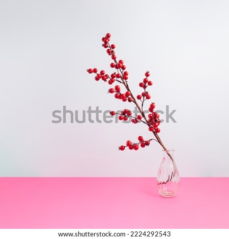 Minimal winter holidays composition with one decorative branch of red berries in a transparent bottle. Christmas and New Year concept.