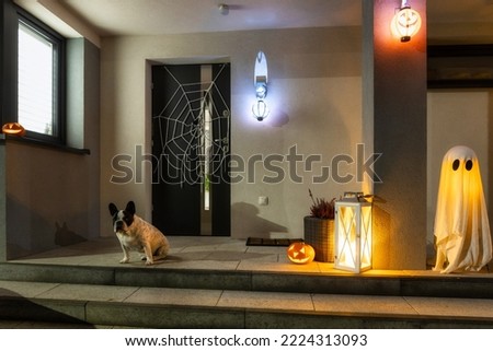 French bulldog sitting at house door with pumpkin lanterns and witch halloween hat at night