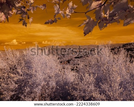 Infrared photography, view towards the valley and the village of Bolgheri from the town of Castagneto Carducci, Tuscany Italy