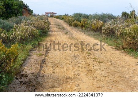 The black sea road passing through the scrub cover