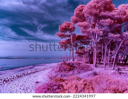 Infrared photography with inversion of the red and blue color channels, view from the Carbonifera beach towards the sea and the city of Piombino on the right the trees of the reserve called della Ster