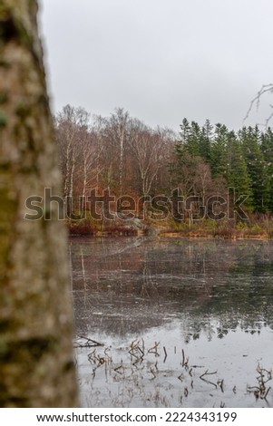 Small pond in autumn forest.