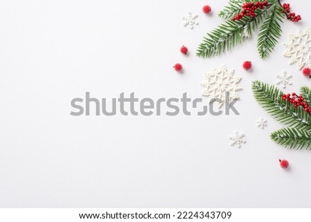 Winter holidays concept. Top view photo of pine branches in frost mistletoe berries and snowflakes on isolated white background with empty space