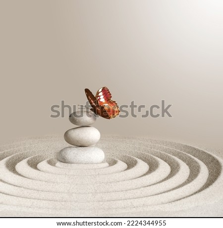 zen garden meditation stone background and butterfly with stones and lines in sand for relaxation balance and harmony spirituality or spa wellness. Royalty-Free Stock Photo #2224344955