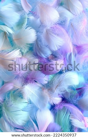 Angelic Pastel tinted White feather background - small fluffy blue feathers randomly scattered forming a background. Royalty-Free Stock Photo #2224350937