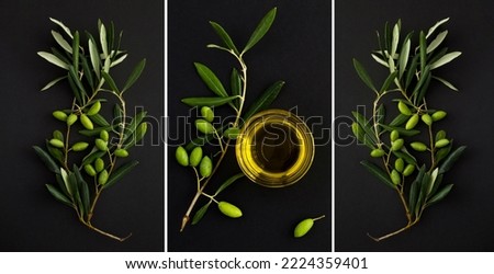 Collage. Olive oil in a glass bowl and branch with green olives on the black background. Top view.