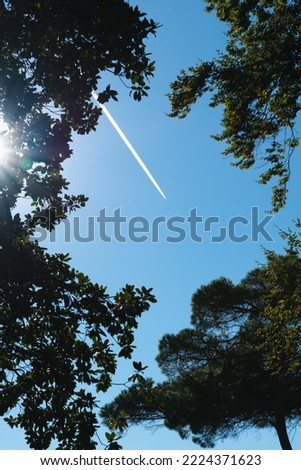 A white trace from the plane against the background of a clear blue sky, similar to a meteorite fall. Framed by upper branches of green foliage of trees