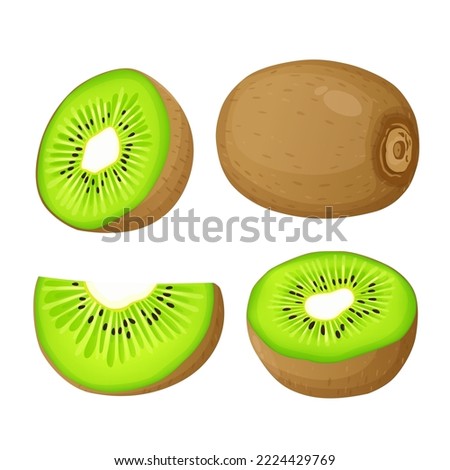 Ripe kiwi fruit and half kiwi fruit isolated on white background. Vector eps 10., perfect for wallpaper or design elements Royalty-Free Stock Photo #2224429769