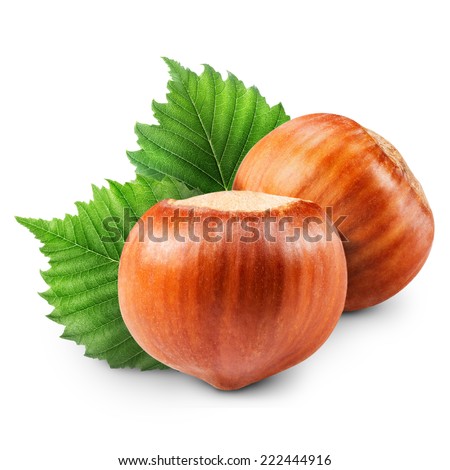 Hazelnuts with leaves isolated Clipping Path 