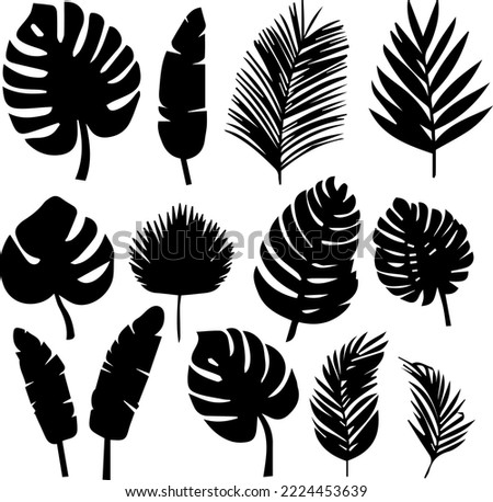 Set of black silhouettes of tropical leaves palms, trees. Vector	