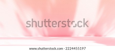 Abstract pink studio background for product presentation. Empty room with shadows of window and flowers and palm leaves . 3d room with copy space. Summer concert. Blurred backdrop. Banner