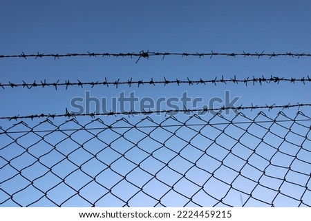 barbed wire fence in the field.symbol of freedom. blue sky in the background 