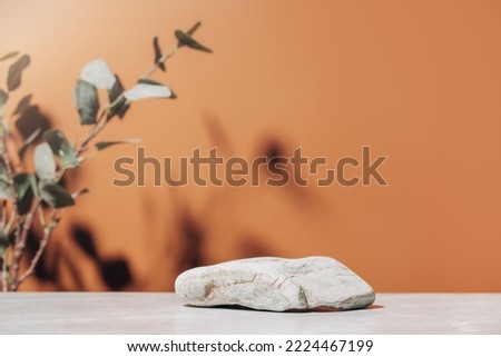 Natural empty background for cosmetic product presenation, packaging mockup made with stone and eucalyptus. Minimal nature scene. Front view, copy space.