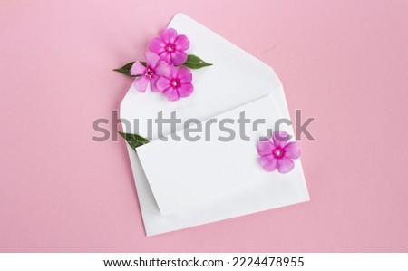 Envelope with flowers. Beautiful flowers in a mail envelope on a white background. greeting card for the holiday.  copy space