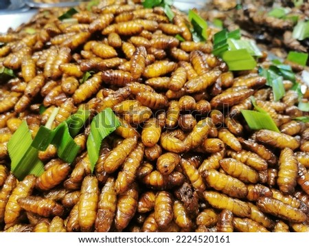 Fried insects meal worms for snack. Fried grasshoppers is food insect. Thai snacks popular on street foods