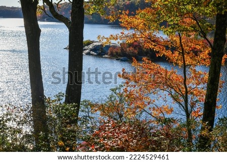 Colorful trees by the lake in autumn foliage. Sunny day and warm weather at the park in October.
