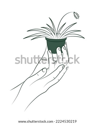 Female hand holds flower pot with small houseplant or seedlings. Care for indoor flowers. Creation of coziness in house. Women's hobby of growing indoor plants. Mini business concept. Linear sketch