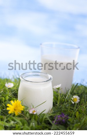 glass of milk with jar of yogurt on the grass with flowers  the sky with clouds on the background.