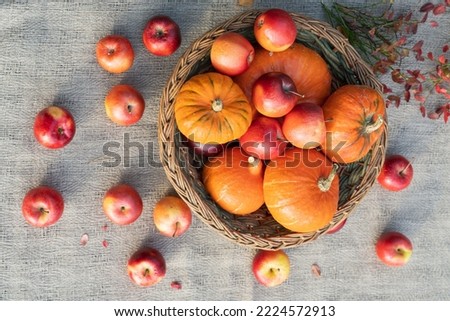 Various pumpkins and red apples in a wicker basket on a table covered with a canvas tablecloth. Autumn still life top view. Horizontal photo.