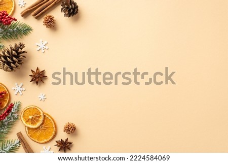 Winter concept. Top view photo of fir branches in frost mistletoe berries dried citrus slices pine cones cinnamon sticks anise and snowflakes on isolated beige background with copyspace