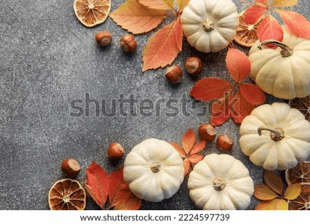 Thanksgiving season still life with small pumpkins and fall leaves over grey concrete  background