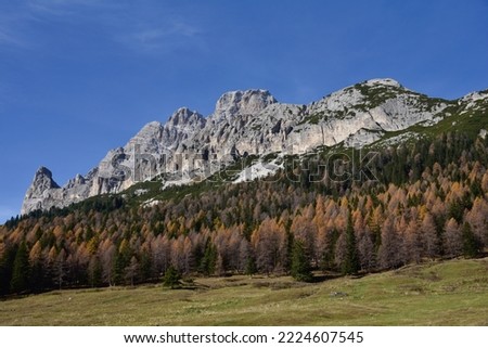 Autumn season  in dolomites mountains, Misurina Italy
