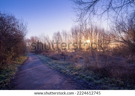 HDR picture of a frozen footpath and trees in winter at dawn