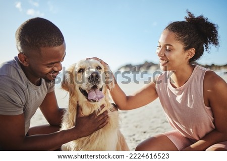 Relax, couple and dog at a beach, happy and smile while bonding, sitting and touching their puppy against blue sky background. Love, black family and pet labrador enjoy a morning outing at the ocean Royalty-Free Stock Photo #2224616523