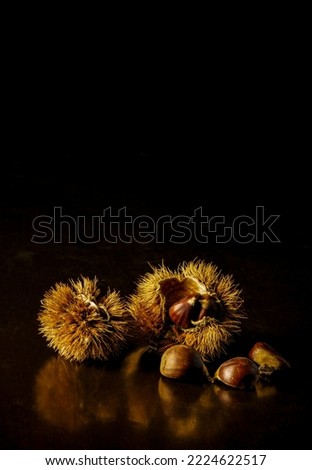 Still life of chestnuts against black background