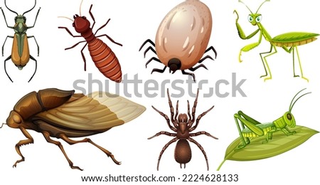 Collection of different insects vector illustration