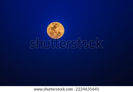 Full Moon on a summer's night