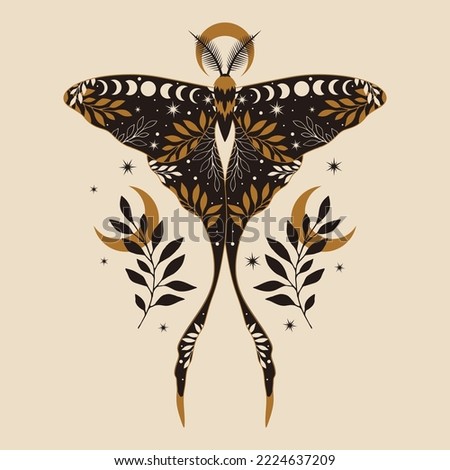 Vector illustration of moon moth. For print for T-shirts and bags, decor element. Mystical and magical, astrology illustration