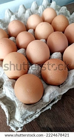 Eggs group on the egg tray cartoon